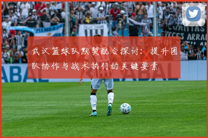 武汉篮球队默契配合探讨：提升团队协作与战术执行的关键要素