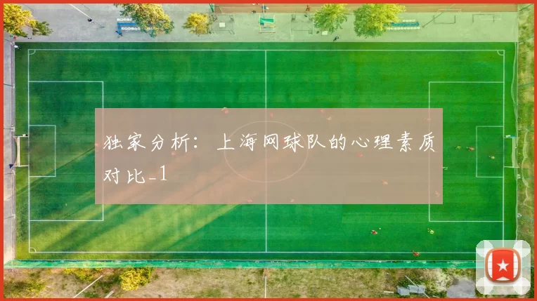 独家分析：上海网球队的心理素质对比_1