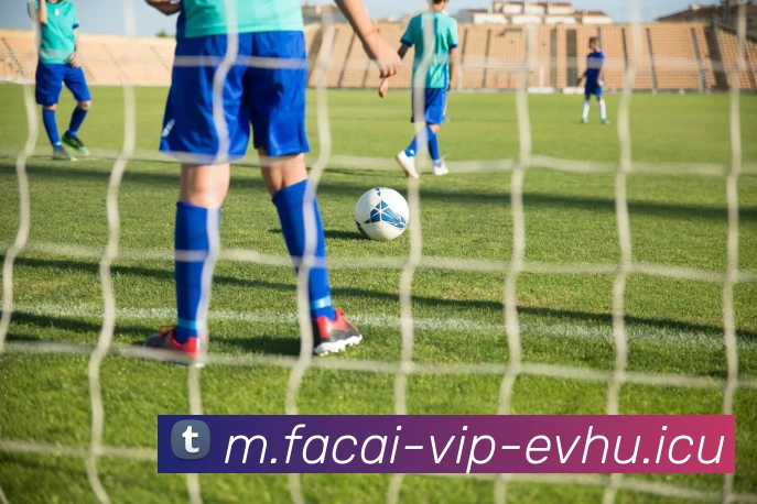 爱游戏体育注册APP 高清赛事图